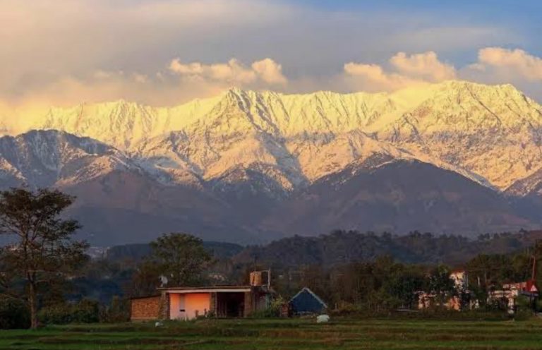 D5D9EF1D-E2B1-48AE-A978-E3D7F5B05D4C