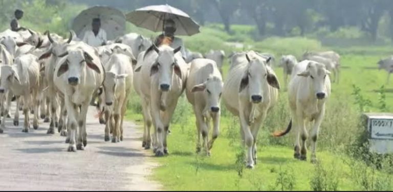 D9C0A90E-357B-45A5-B089-31CCFE88B610