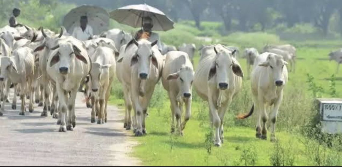 D9C0A90E-357B-45A5-B089-31CCFE88B610