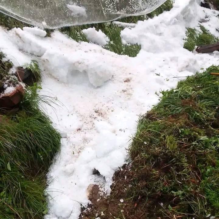 EADAC2DC-526B-4BAF-BCB5-2ECB0D6227E6