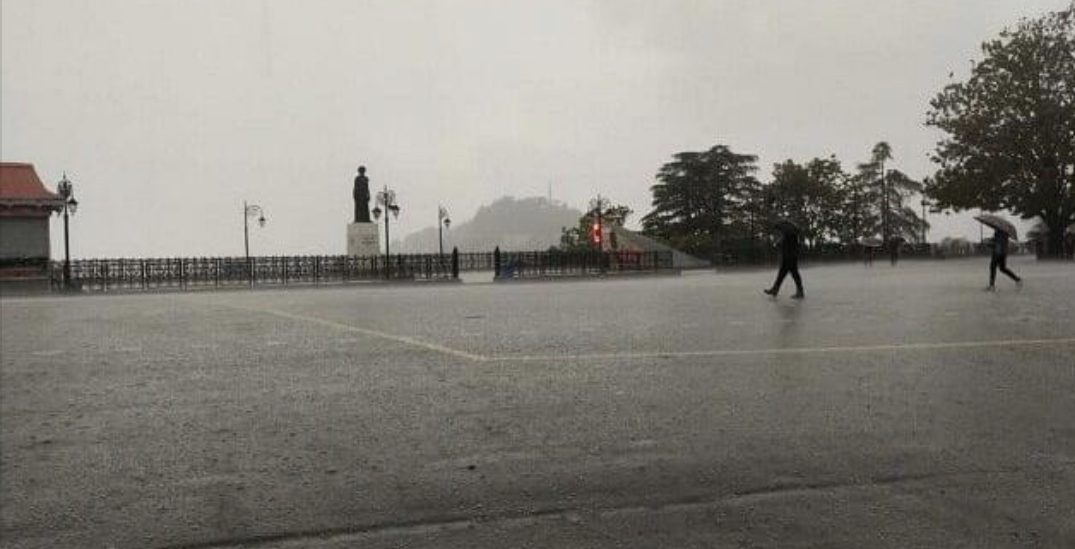 FB6B8AB7-F2D3-478E-90C1-83AF1AB05E1D