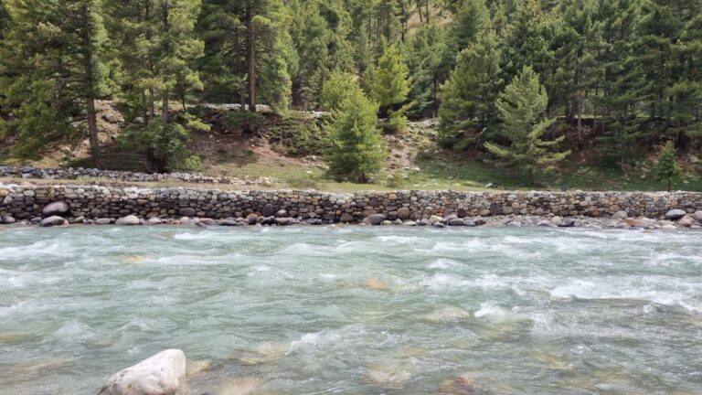 9017cb7c-1dd0-47c1-9bc4-416507ba371c