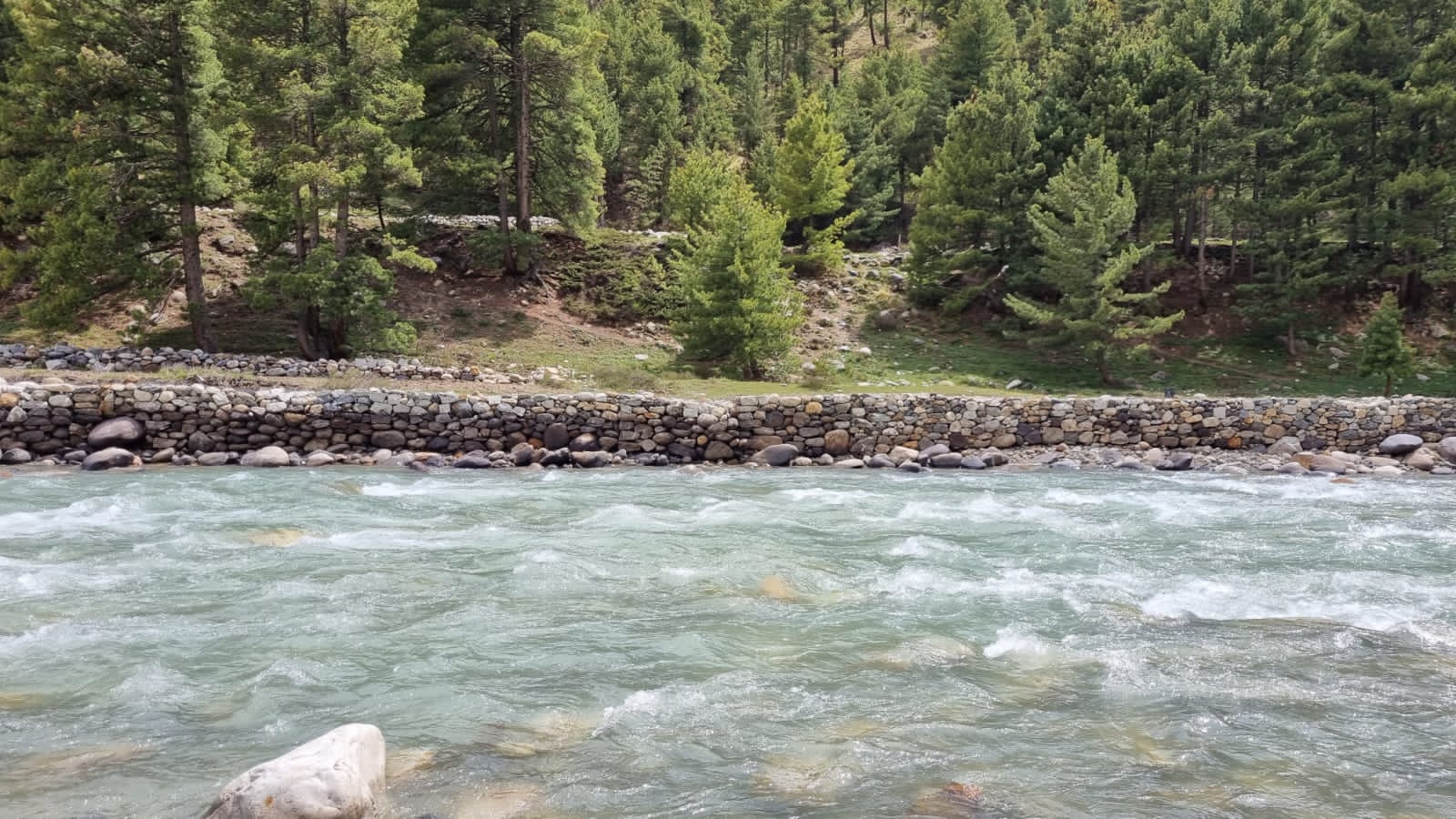 9017cb7c-1dd0-47c1-9bc4-416507ba371c