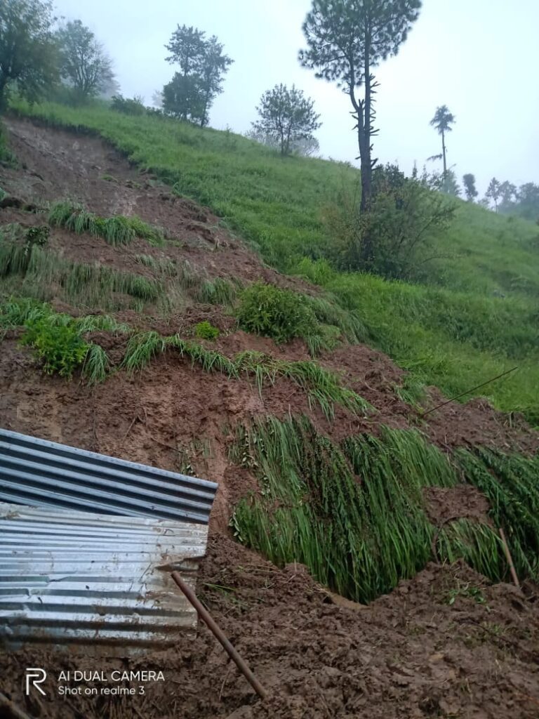 b5f95355-3dc9-4be1-a2da-95f10524f52a