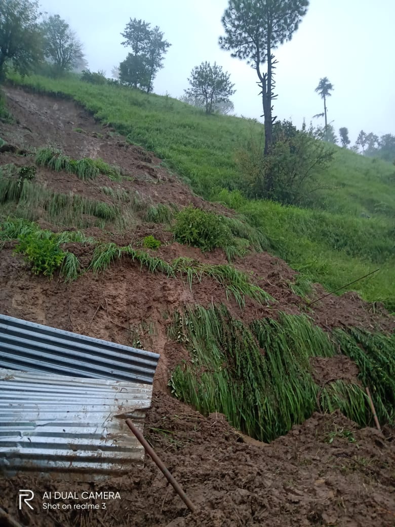 b5f95355-3dc9-4be1-a2da-95f10524f52a