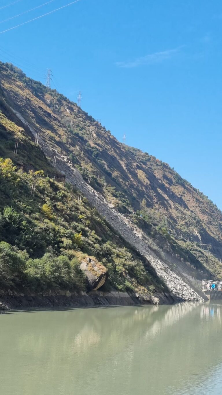 d4832a76-1470-4f4f-955b-7d77e38f71b3