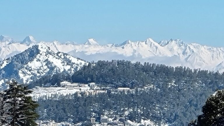 00502c4a-e57d-4285-be29-7b224012782b