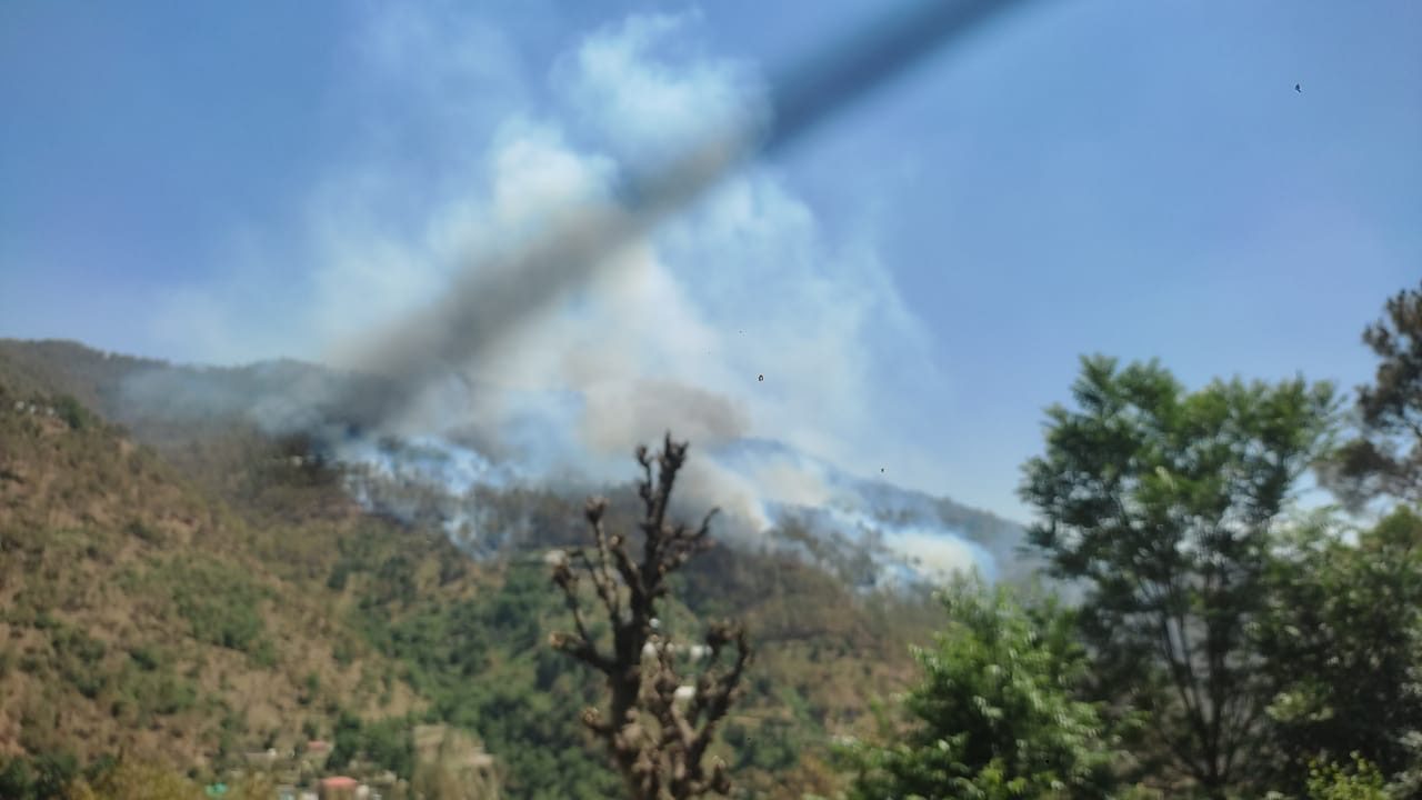 77fb0a8f-01ea-4731-9d4e-302e39d48102