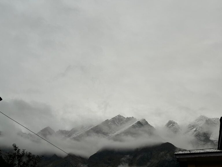 40f01f81-bd72-4e41-8b95-b3caa449cff4