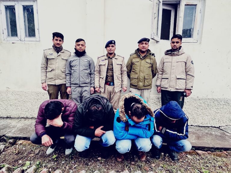 b3778ee4-8565-4d62-adf9-9e2e10a67172