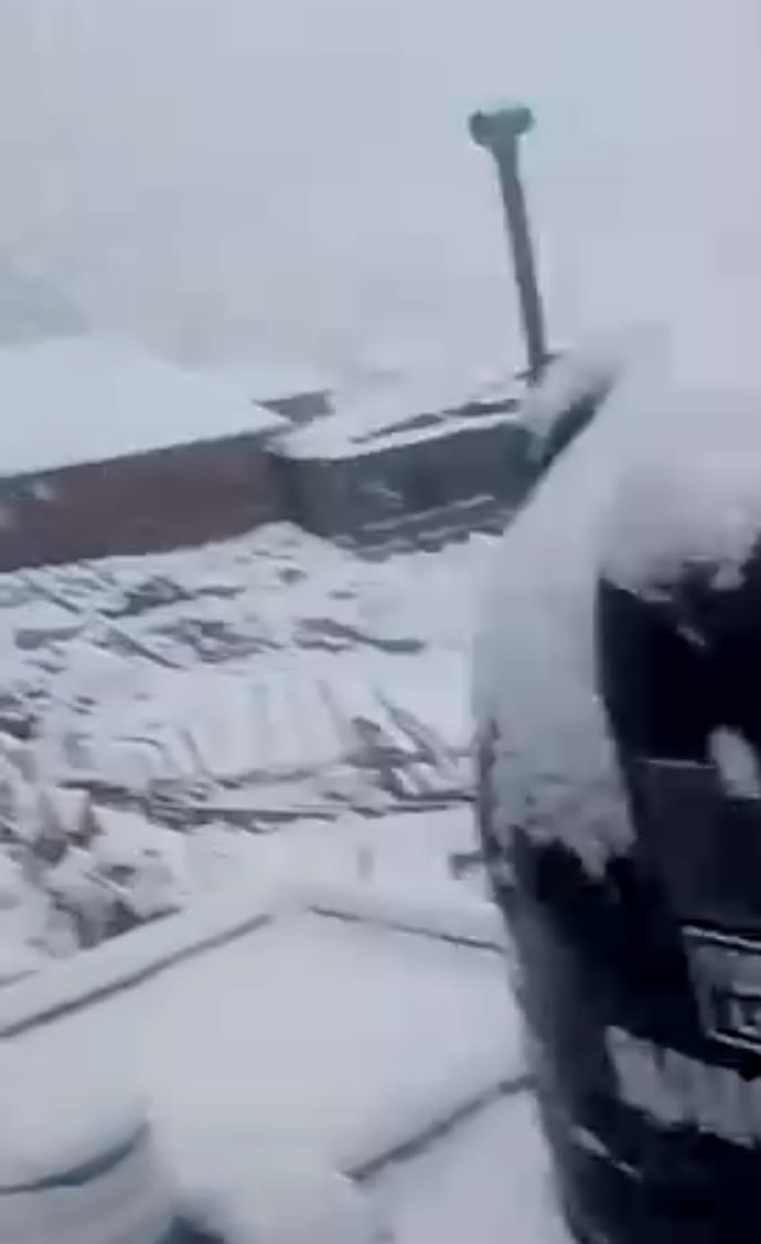 10d8533b-369f-4362-92cc-e0c370e18747