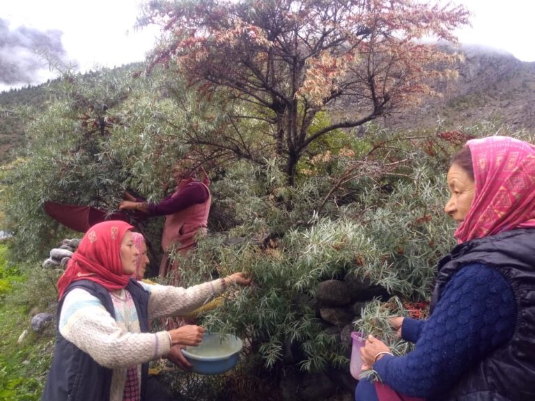 68ed1c90-67a7-439b-b878-7e45658b586e