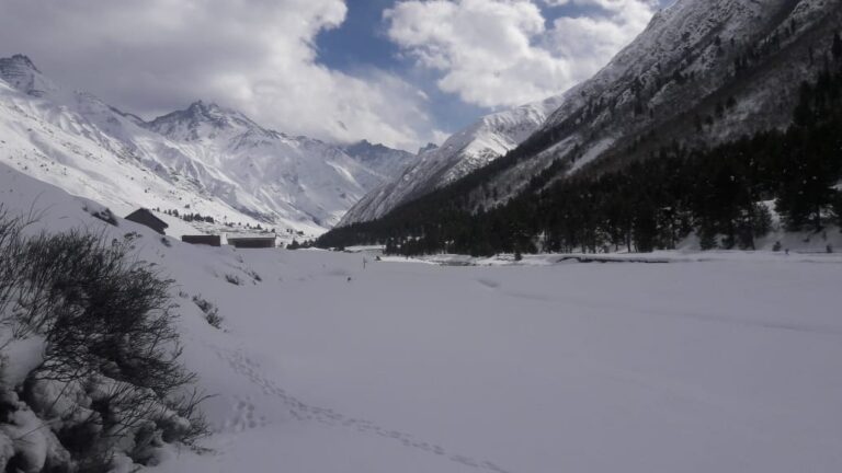 92cfe4f9-f116-4e05-9d2a-9f41b0cb15ef