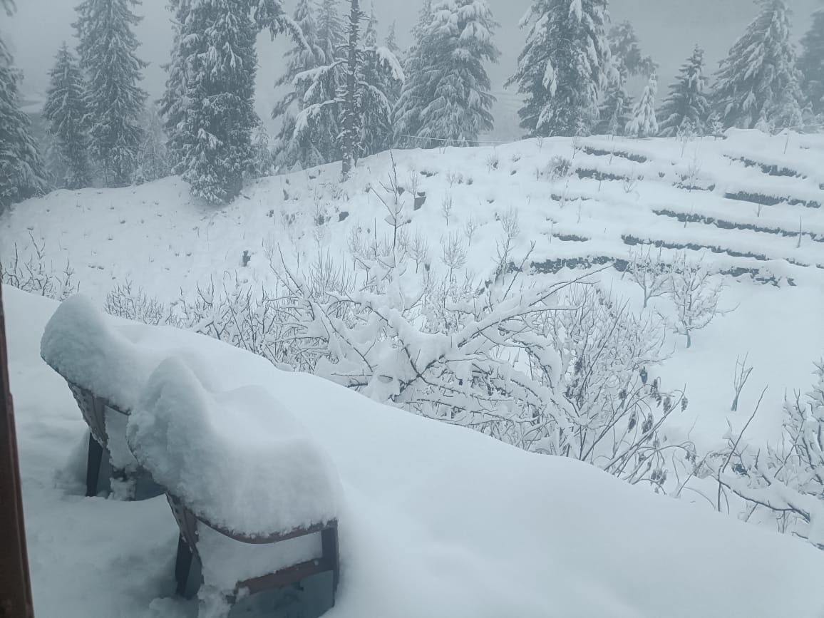 b9e90a94-518d-4c87-b2e3-7b1199a78e16