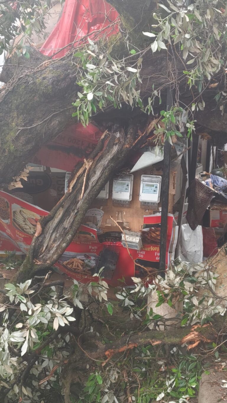 1492f363-40ed-4448-bba0-e197bd6ba5dd