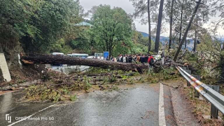 959295bf-537b-4047-a68c-936589550fbd