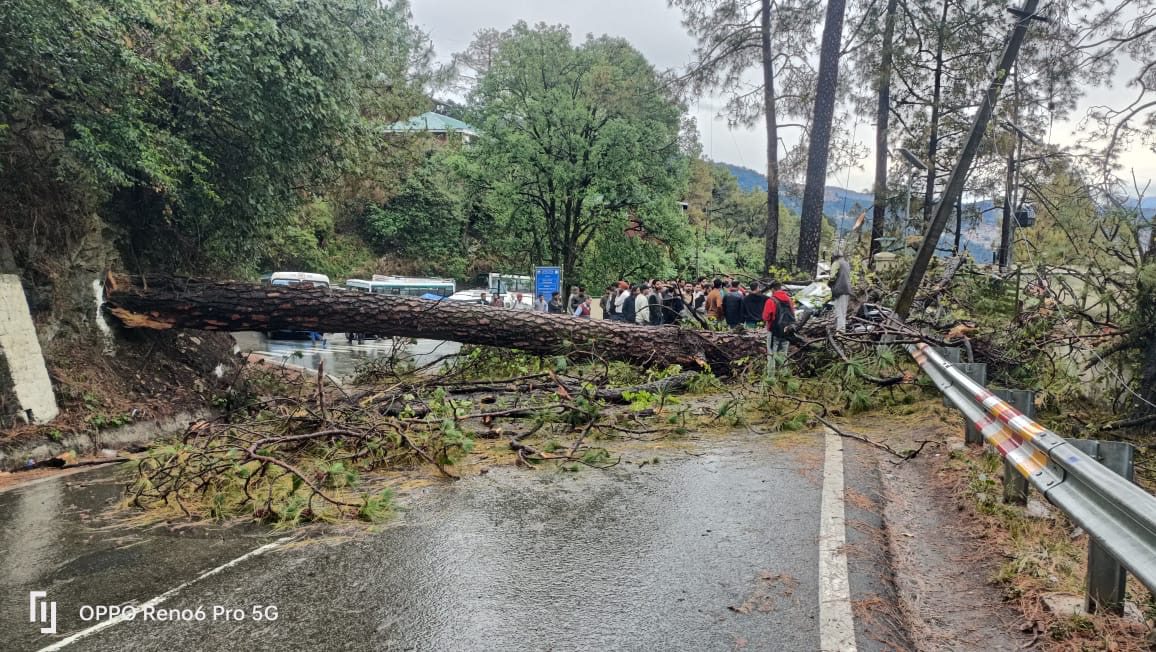 959295bf-537b-4047-a68c-936589550fbd