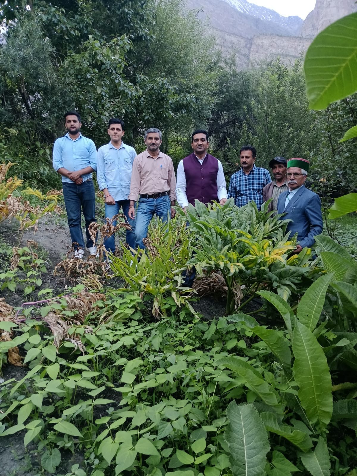 90afbaf0-c51e-4498-9a02-a2763af851ff