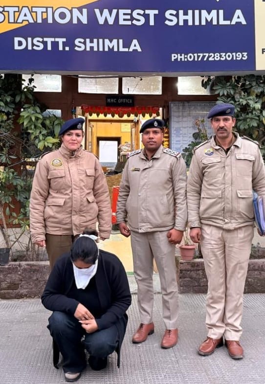 4542a3e6-29cd-43a9-aa29-cf65b8d383cd